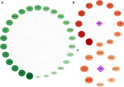 In Vitro evaluation of the anti-pancreatic cancer activity of epimedium herb